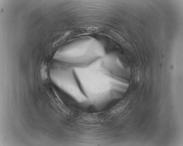 X0000081430962200701261818