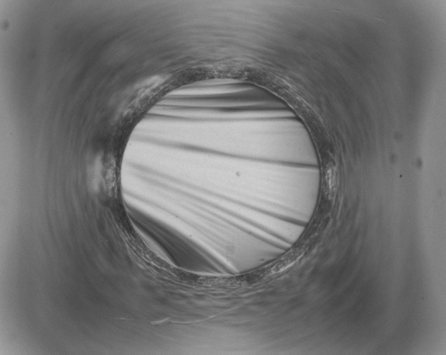 X0000081430963200701261818