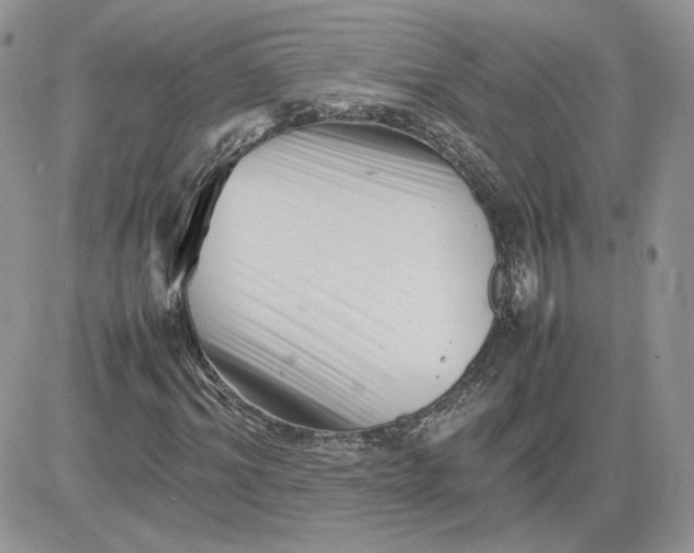 X0000081430964200701261818