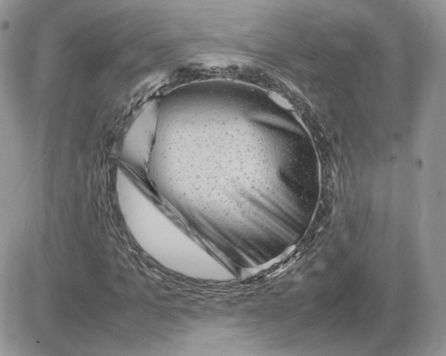 X0000081430965200701261818