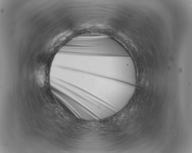 X0000081430966200701261818