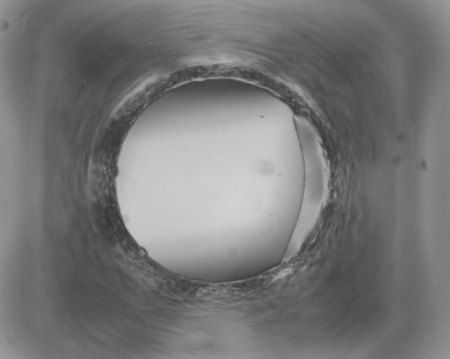 X0000081430967200701261818