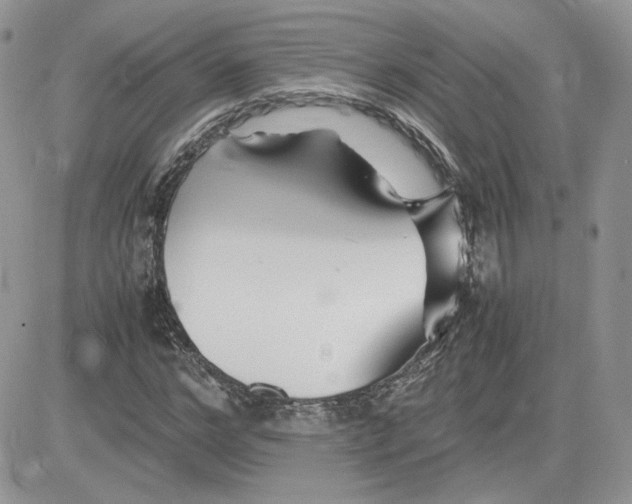 X0000081430968200701261818