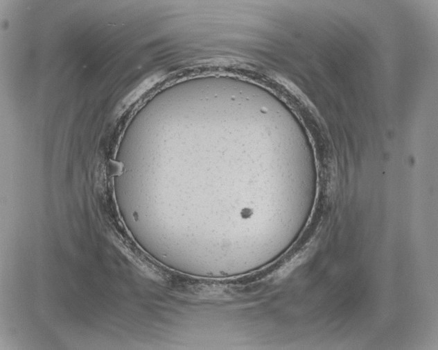 X0000081430969200701261818