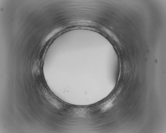 X0000081430970200701261818