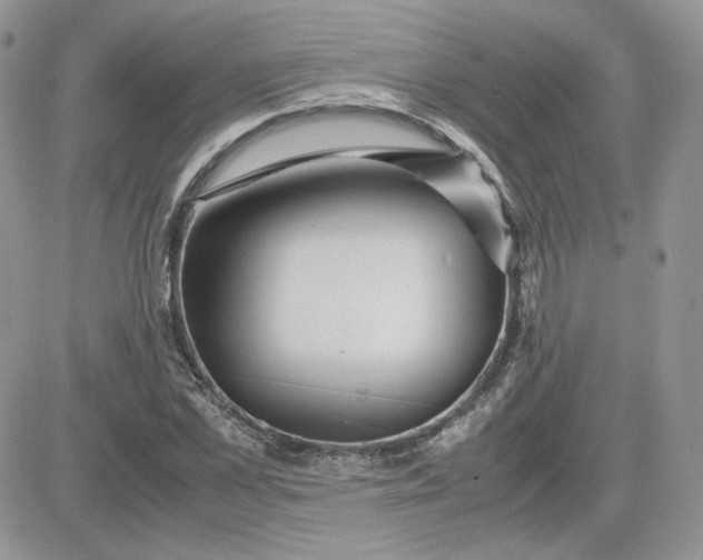 X0000081430973200701261818