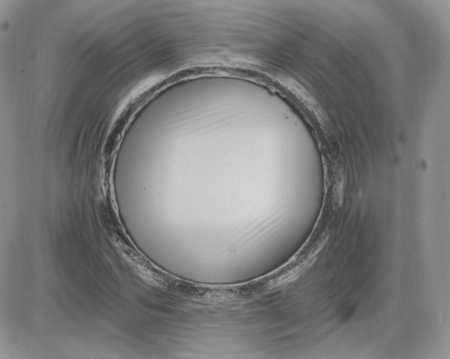 X0000081430974200701261818