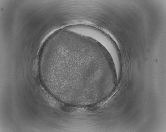 X0000081430975200701261818