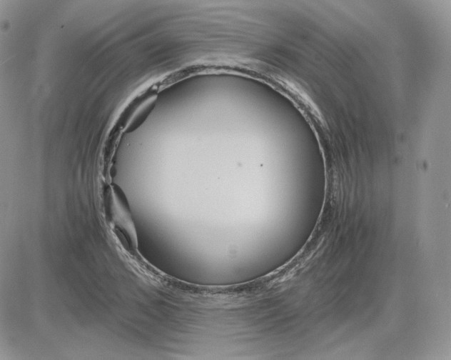 X0000081430976200701261818