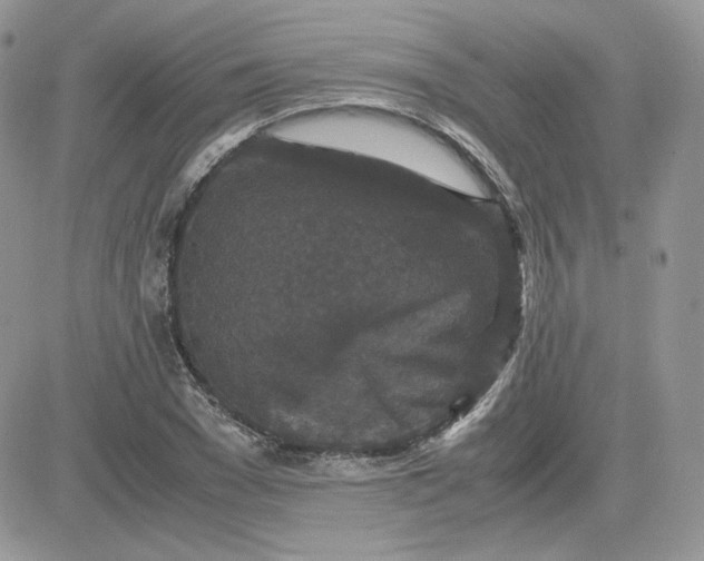 X0000081430977200701261818