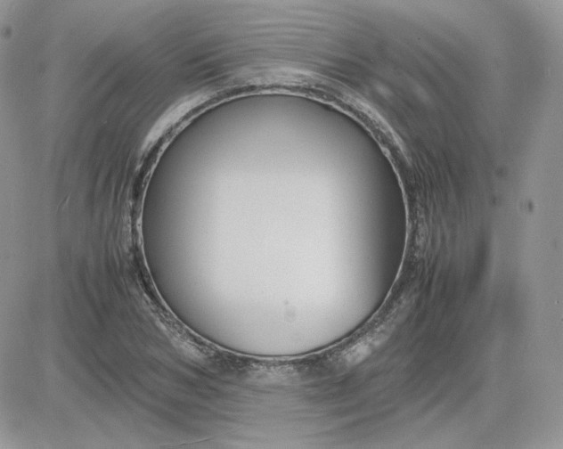 X0000081430978200701261818