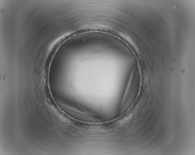 X0000081430979200701261818