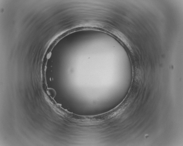 X0000081430980200701261818