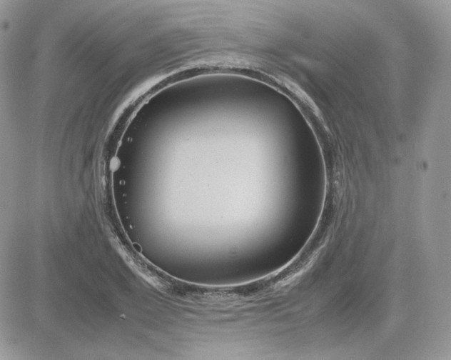 X0000081430981200701261818