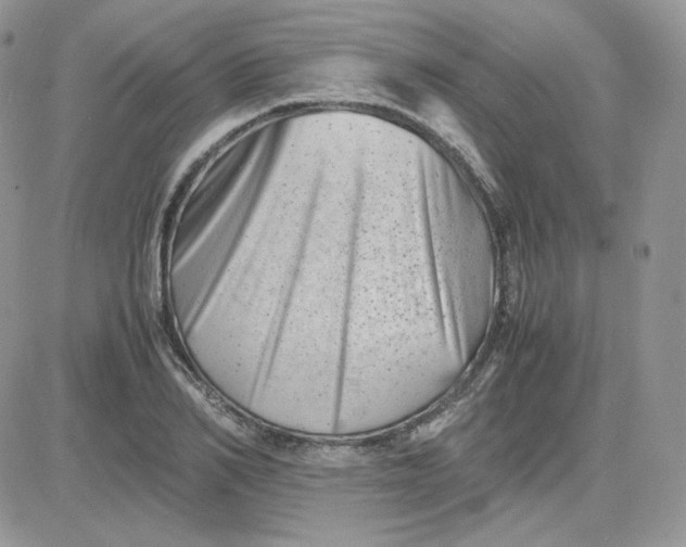 X0000081430982200701261818