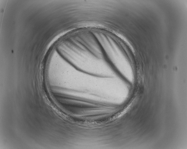 X0000081430983200701261818