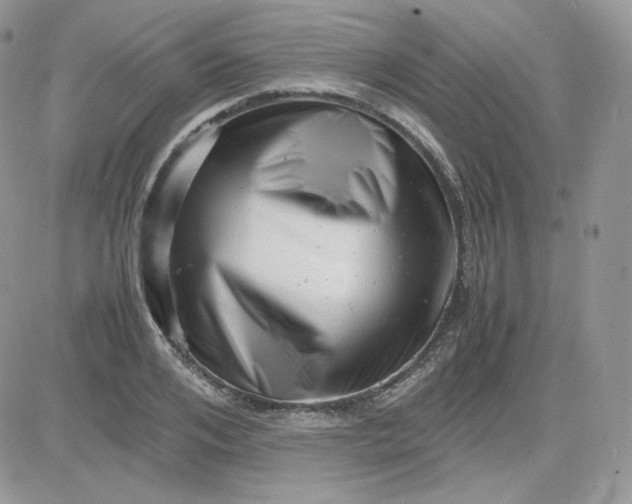 X0000081430984200701261818