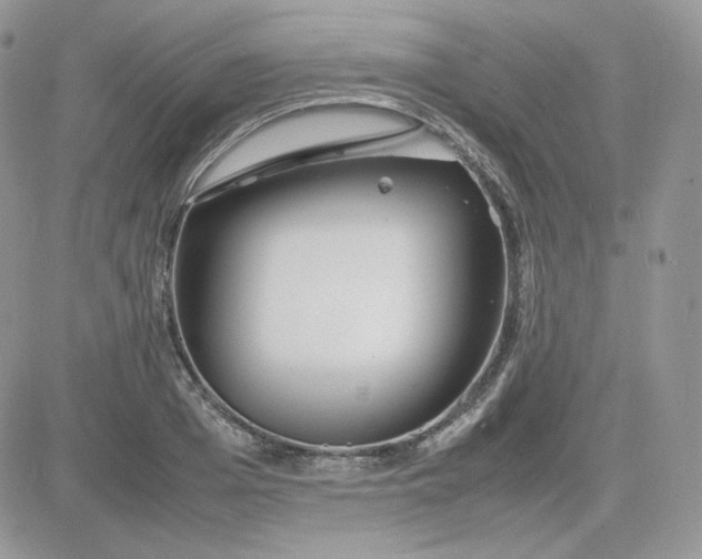 X0000081430985200701261818