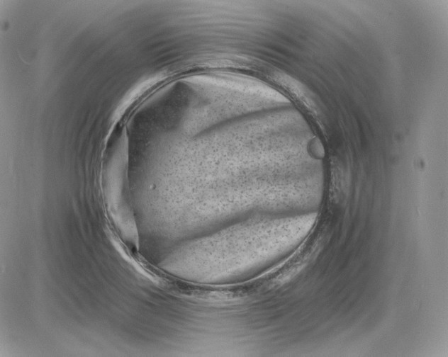 X0000081430986200701261818