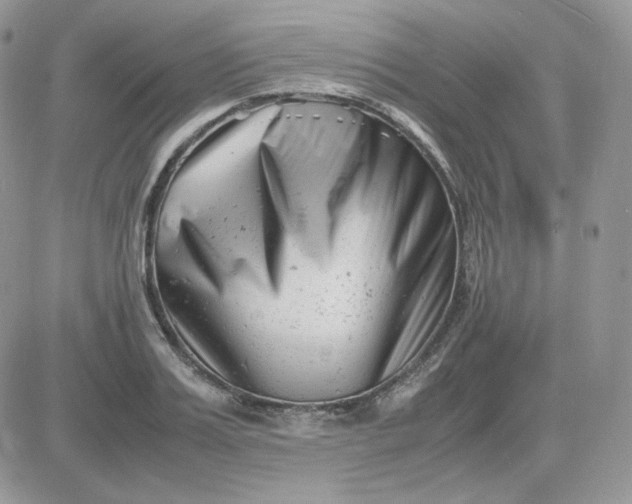 X0000081430987200701261818