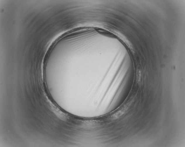 X0000081430988200701261818