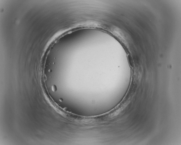 X0000081430989200701261818