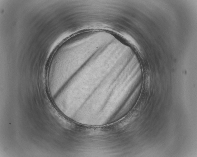 X0000081430990200701261818