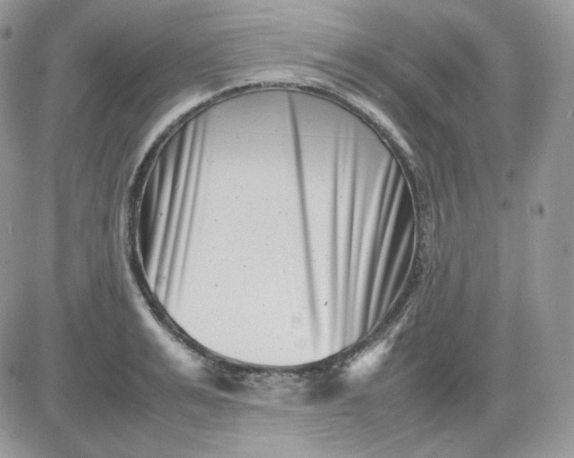 X0000081430991200701261818