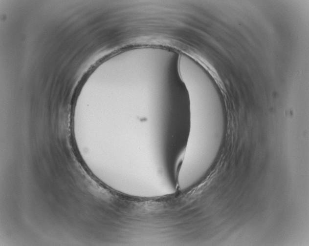 X0000081430992200701261818