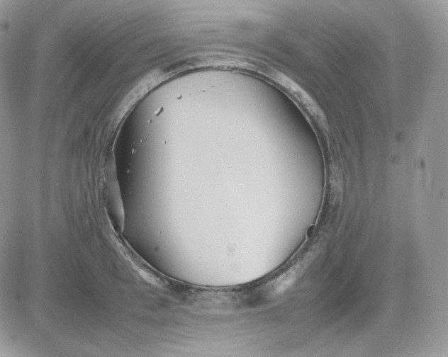 X0000081430993200701261818