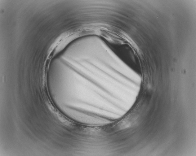 X0000081430994200701261818