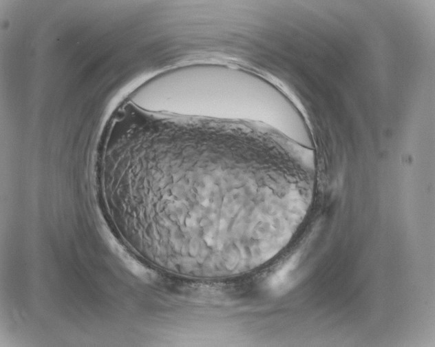 X0000081430995200701261818