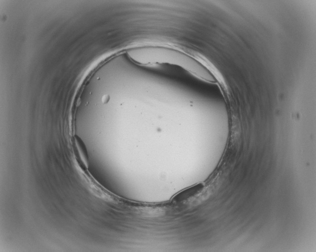 X0000081430996200701261818