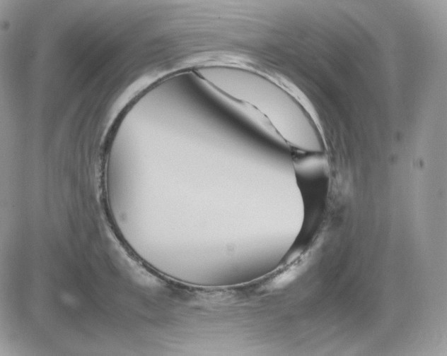 X0000081430997200701261818