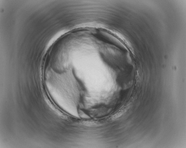 X0000081430998200701261818