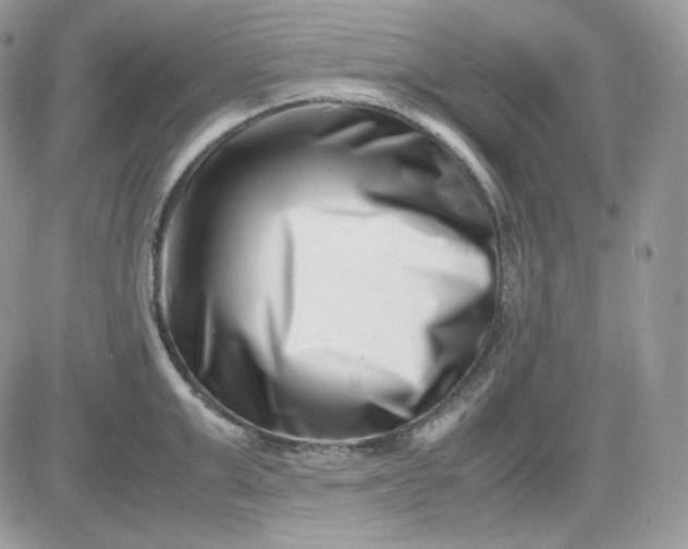 X0000081430999200701261818