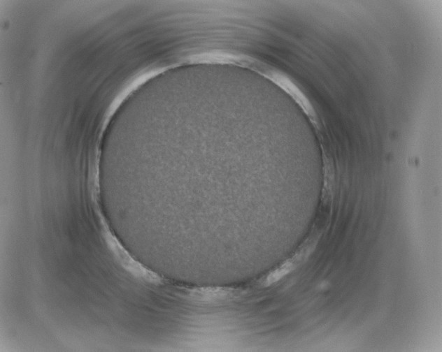 X0000081431000200701261818