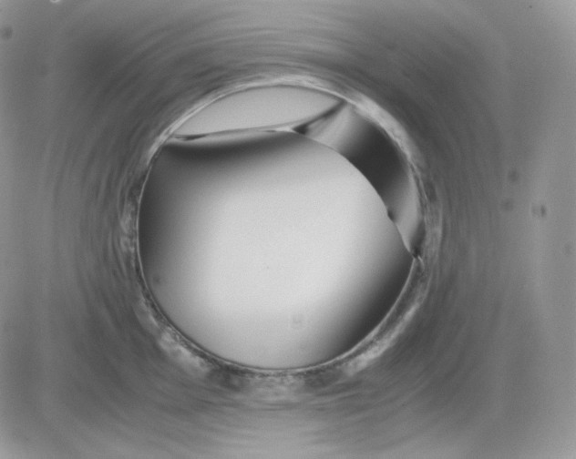 X0000081431001200701261818