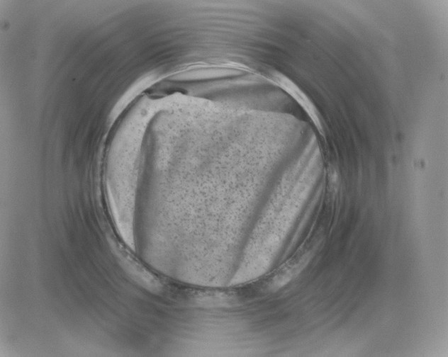 X0000081431002200701261818