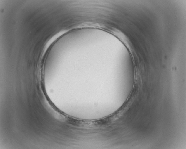 X0000081431003200701261818