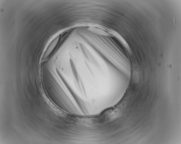 X0000081431004200701261818