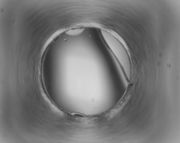 X0000081431005200701261818