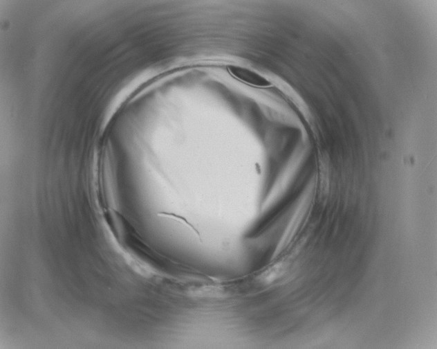 X0000081431006200701261818