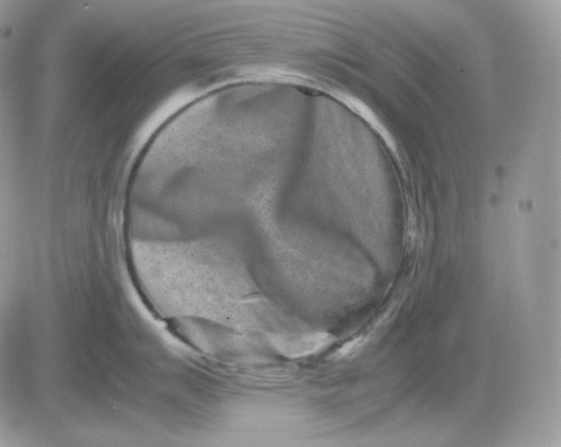 X0000081431007200701261818