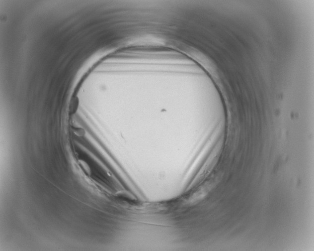 X0000081431008200701261818