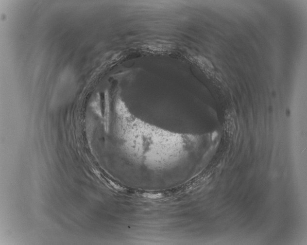 X0000081431009200701261817