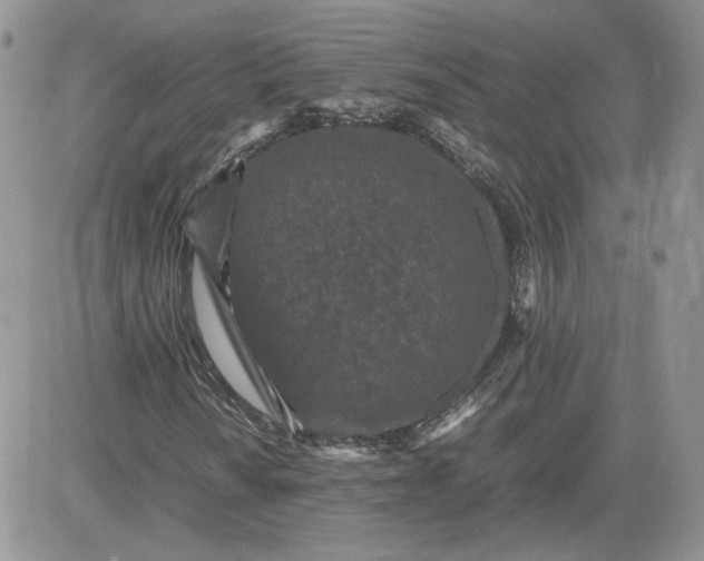 X0000081431010200701261817