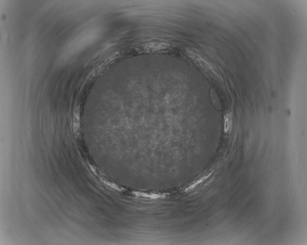 X0000081431011200701261817