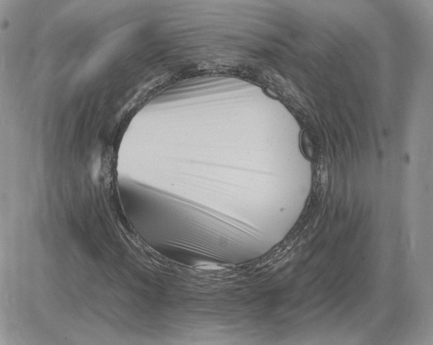 X0000081431012200701261817