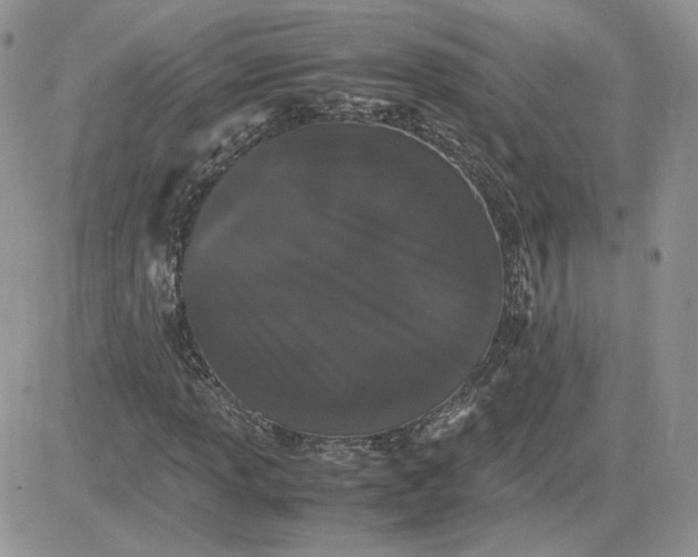 X0000081431013200701261817